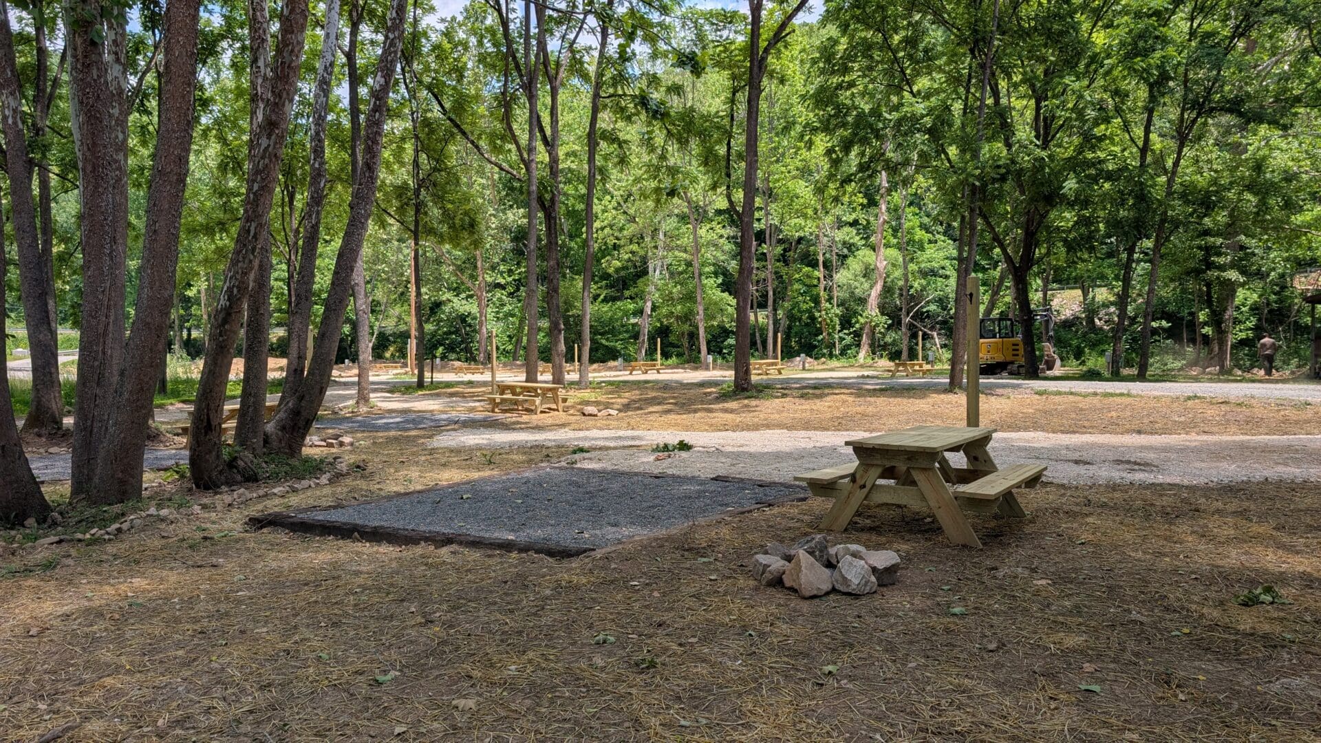 Tent Camping Sites at Roan Creek Campground